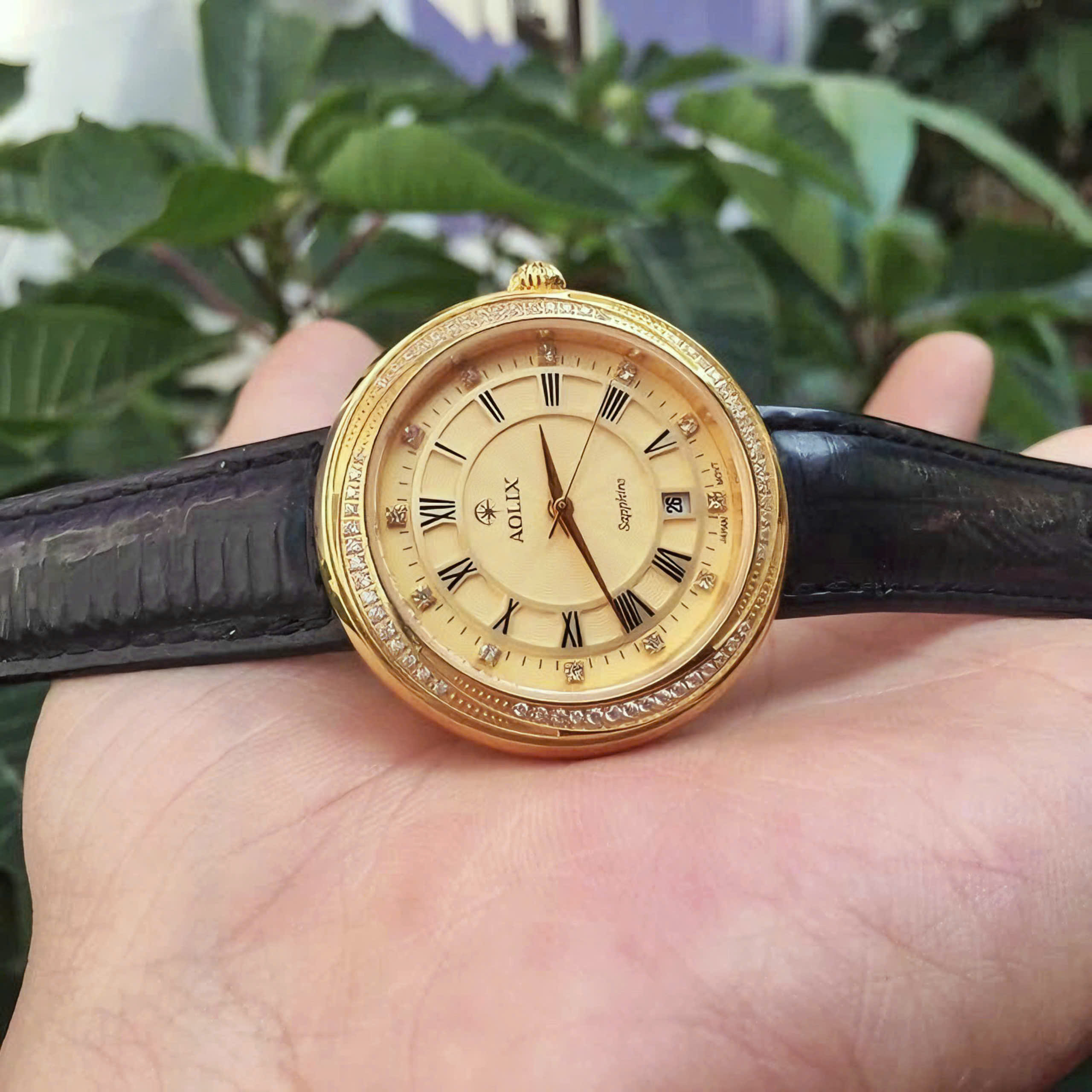 Đồng hồ nữ chính hãng Aolix al 1018l