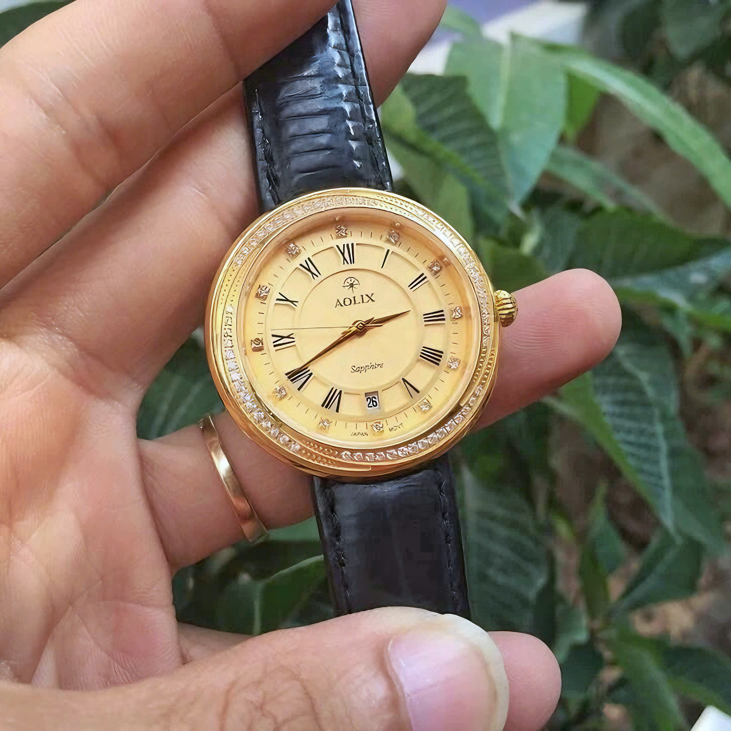 Đồng hồ nữ chính hãng Aolix al 1018l