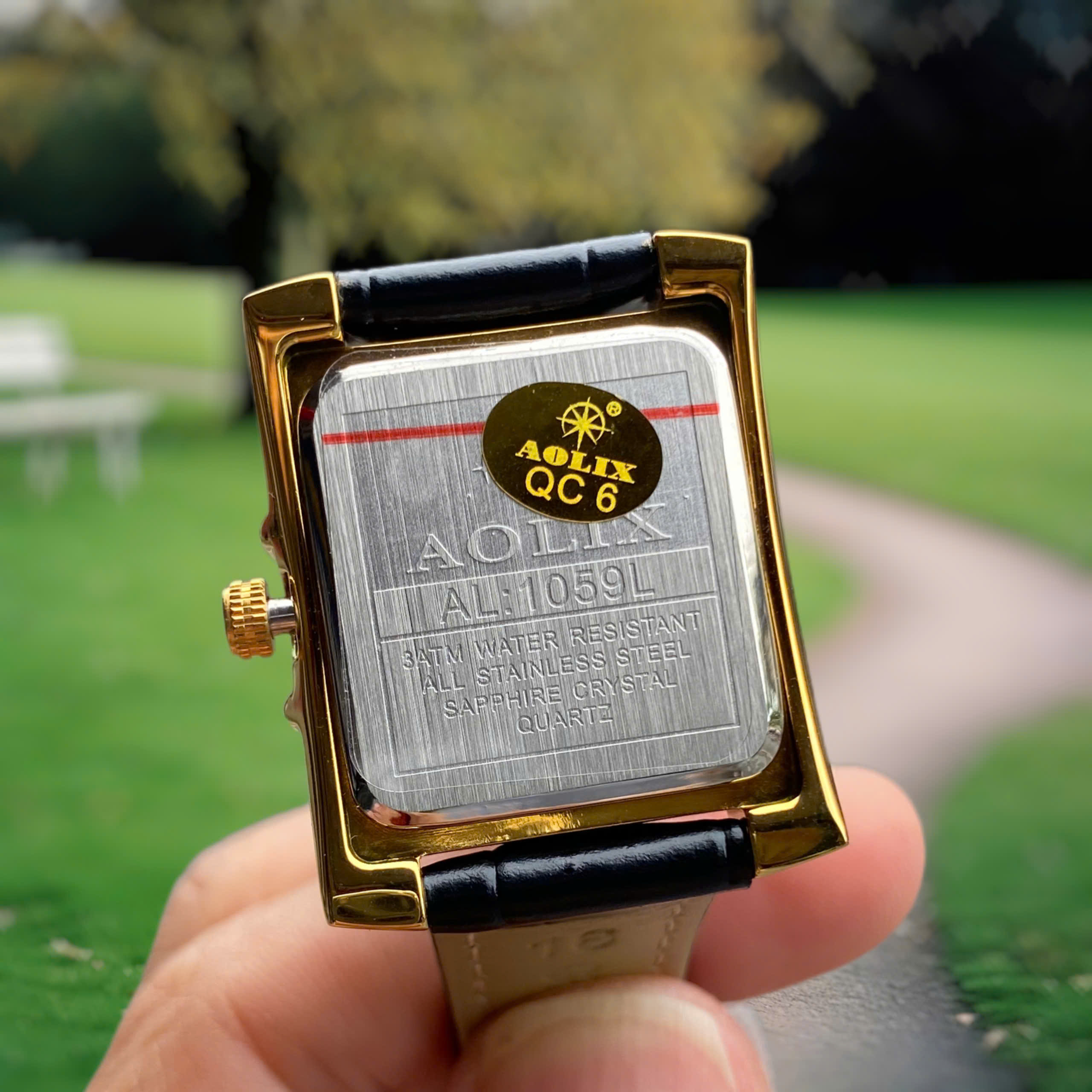 Đồng Hồ Nữ Aolix AL1059L . Nét Đẹp Sang Trọng & Cuốn Hút Cho Phái Đẹp