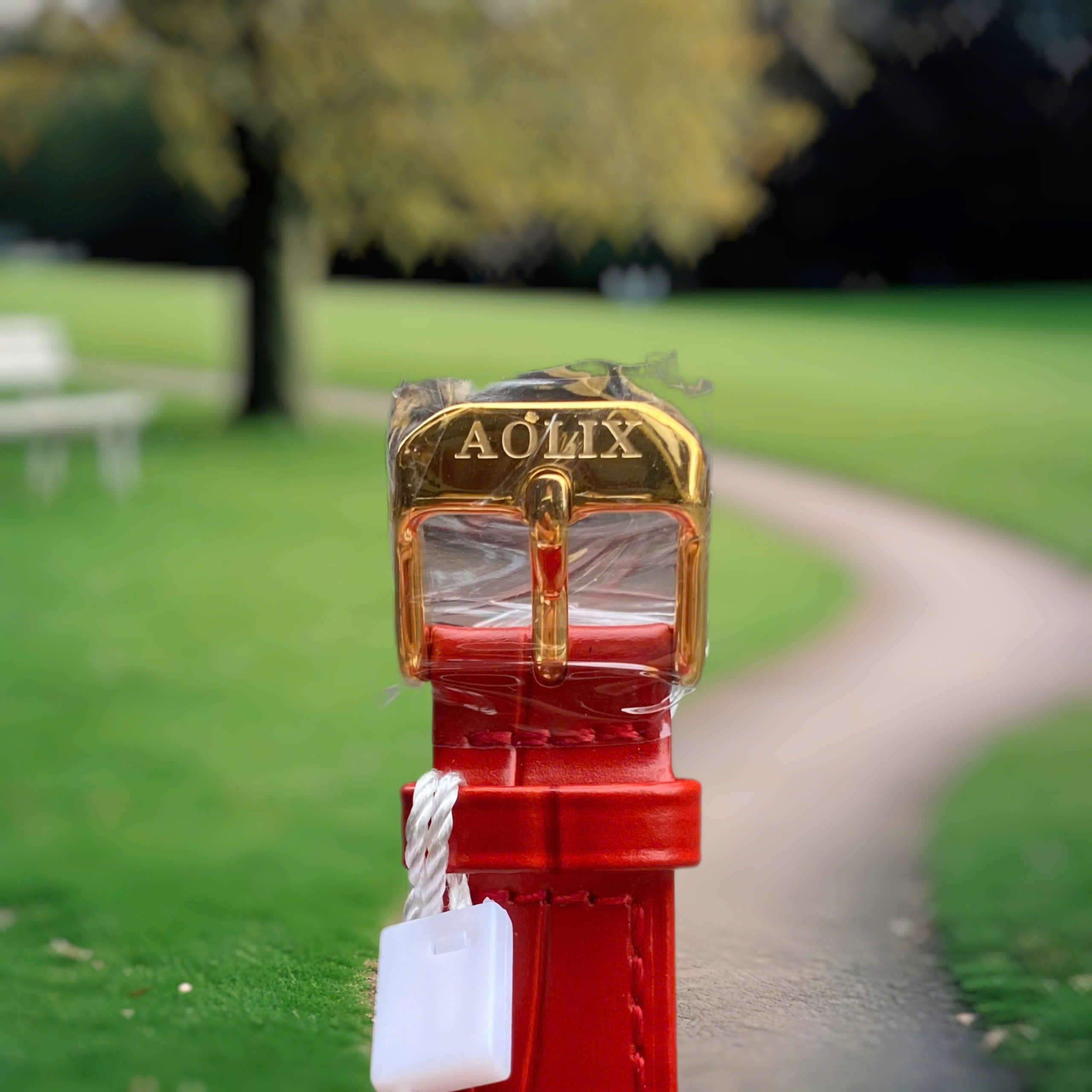 Đồng Hồ Nữ Aolix AL1059L . Nét Đẹp Sang Trọng & Cuốn Hút Cho Phái Đẹp