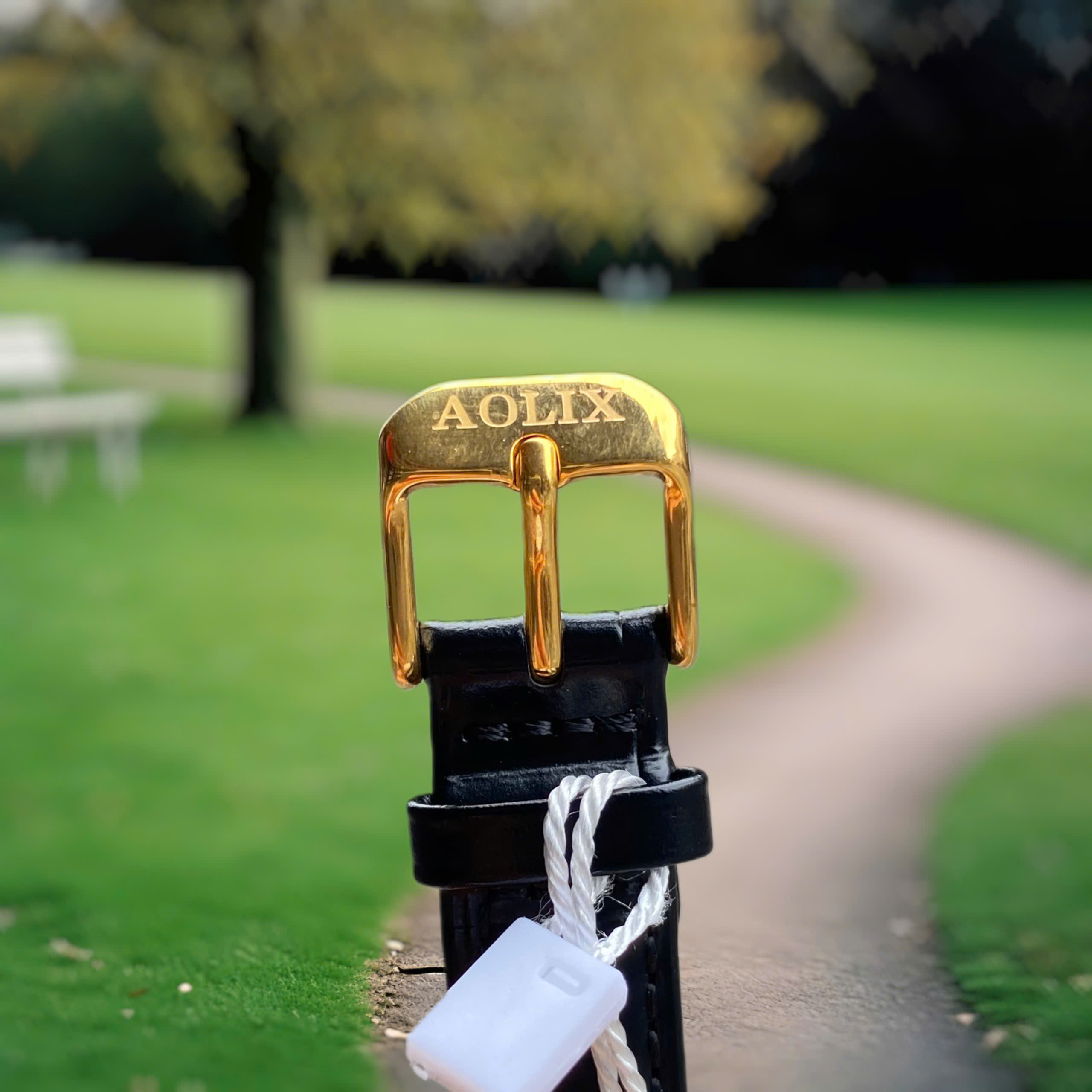 Đồng Hồ Nữ Aolix AL1059L . Nét Đẹp Sang Trọng & Cuốn Hút Cho Phái Đẹp