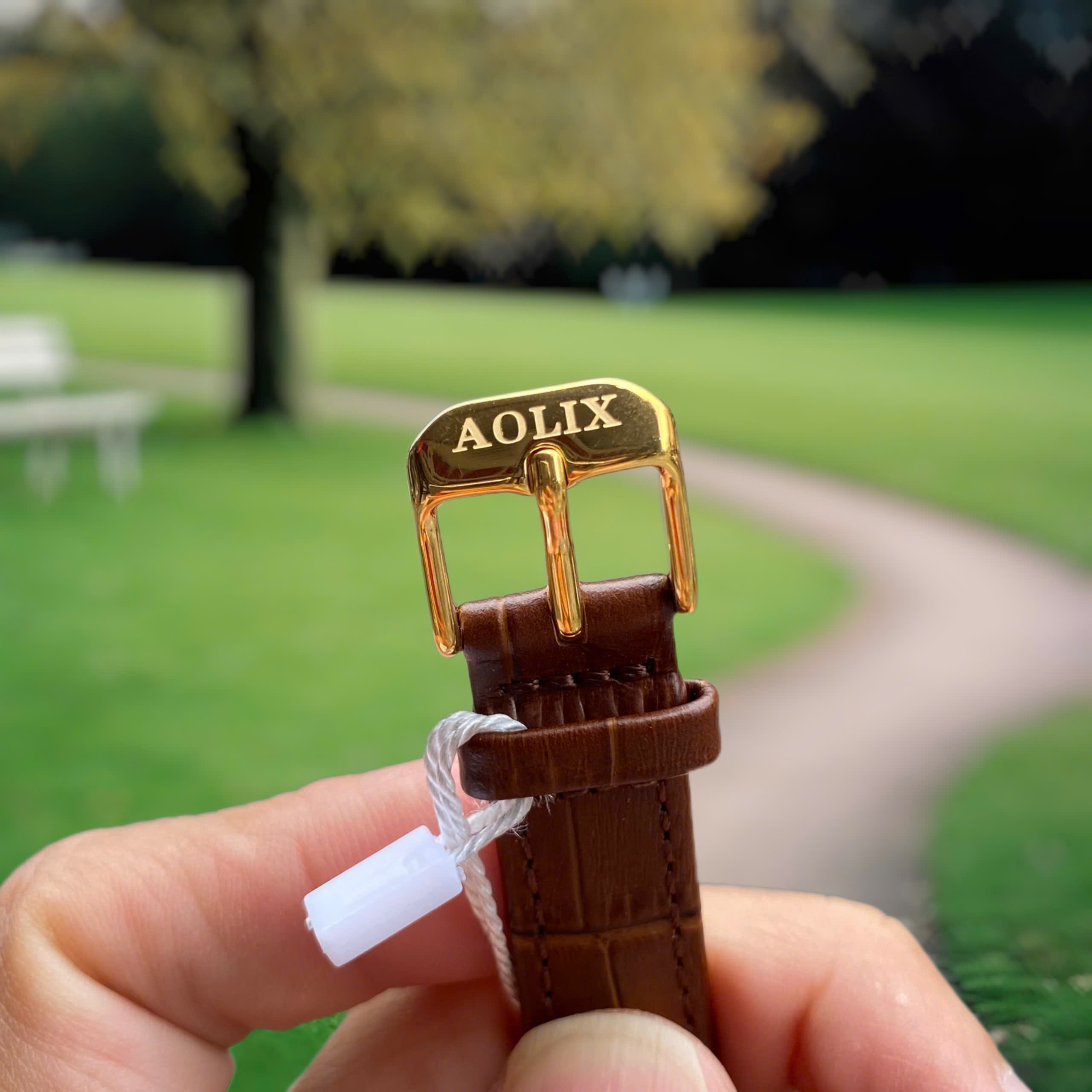 Đồng Hồ Nữ Aolix AL1059L . Nét Đẹp Sang Trọng & Cuốn Hút Cho Phái Đẹp