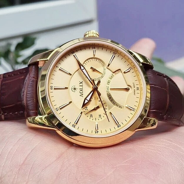 ĐỒNG HỒ AOLIX AL7061G