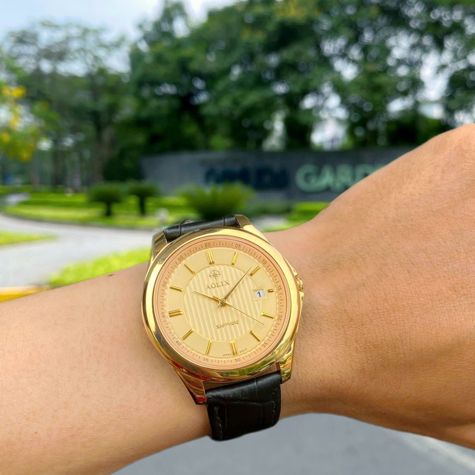 Đồng Hồ Aolix AL9111G Chính Hãng