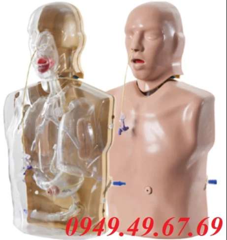 MÔ HÌNH THỰC HÀNH ĐẶT SONDE DẠ DÀY VÀ RỬA DẠ DÀY AR90