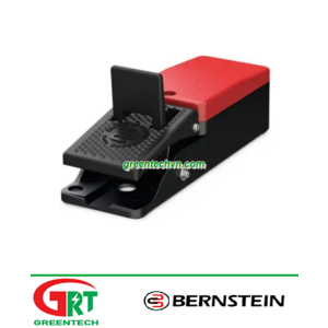 AT series | Bernstein AT series | Công tắc chân | Control foot switch | Bernstein Vietnam