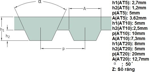 thông số kỹ thuật Dây curoa răng PU - T20