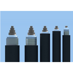 AXV/DATA − 0,6/1 KV & AXV/DSTA − 0,6/1 KV