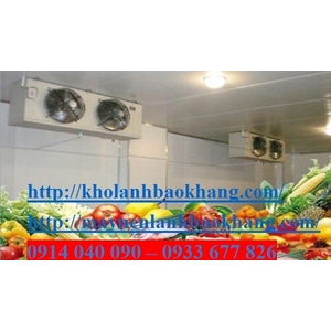 Lắp đặt kho lạnh bảo quản rau quả