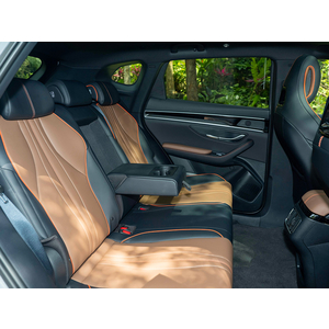 BYD Sealion 6 Dynamic