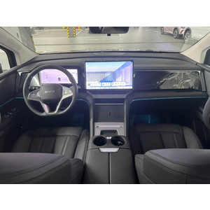 BYD M9