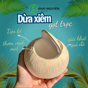 Dừa xiêm gọt trọc Bến tre chuyển đổi hữu cơ