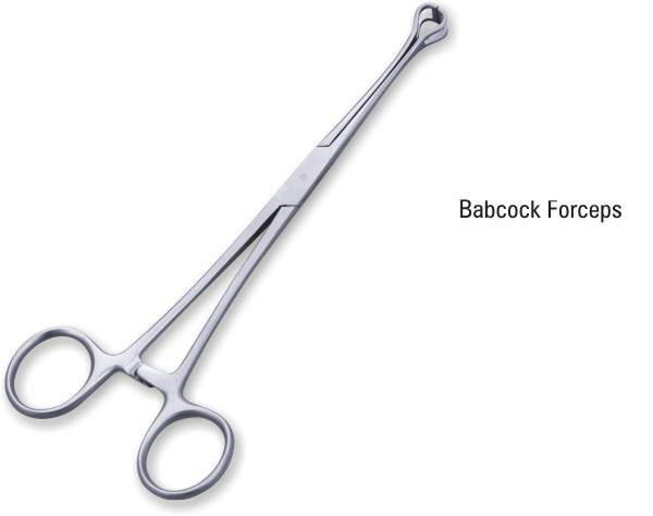 Kẹp Babcock 16 cm Hilbro 52.0182.16