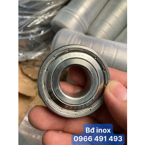 BẠC ĐẠN- VÒNG BI INOX 6204