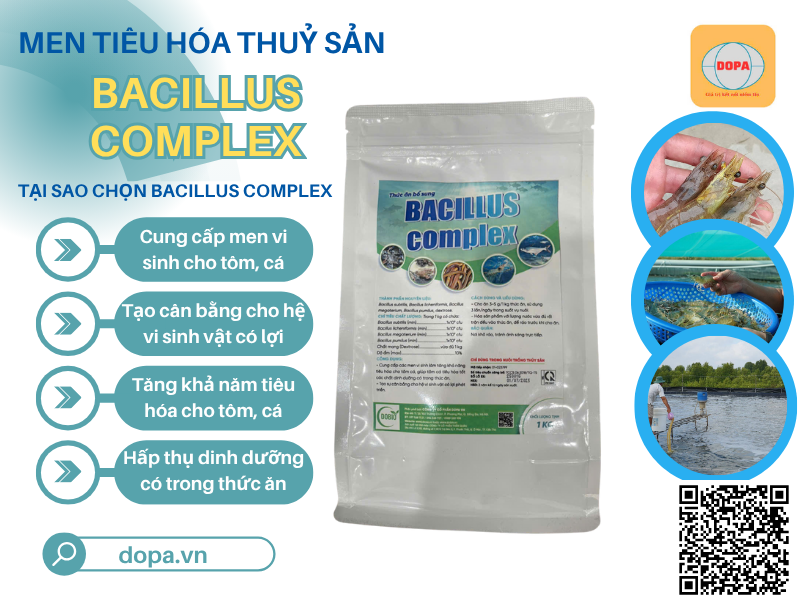 Bacillus Complex: Chìa khóa vàng cho hệ tiêu hóa tôm, cá khỏe mạnh