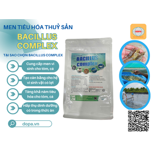 Bacillus Complex: Chìa khóa vàng cho hệ tiêu hóa tôm, cá khỏe mạnh