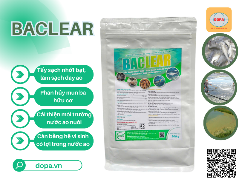 BACLEAR Bí Quyết Tẩy Sạch Nhớt Bạt, Làm Sạch Đáy Ao Hiệu Quả