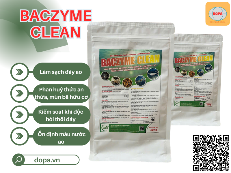 BACZYME CLEAN Bí quyết làm sạch đáy ao, hết mùi hôi ao nuôi