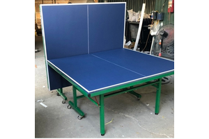 Bàn bóng bàn TN 002
