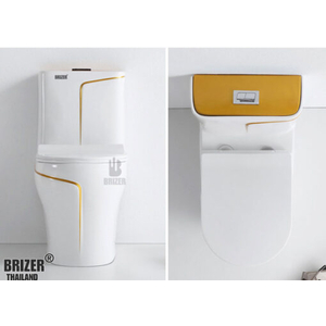 Bồn Cầu Một Khối BRIZER Công Nghệ Xã Xoáy Super Vortex BZ8010V