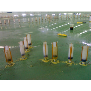 Bạn đang cần tìm đại lý sơn Epoxy tại Hà Nội?