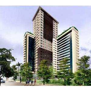 Bán Nhà Hẻm Đường Thống Nhất P11 Quận Gò Vấp 3.4x17m TPHCM