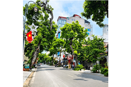 Bán nhà mặt Phố Bà Triệu, Kinh doanh, 74m2 6 Tầng
