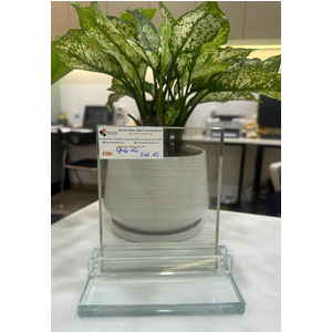 Bảng Giá Kính Ép Lụa - Giải Pháp Trang Trí Nội Thất Hiện Đại