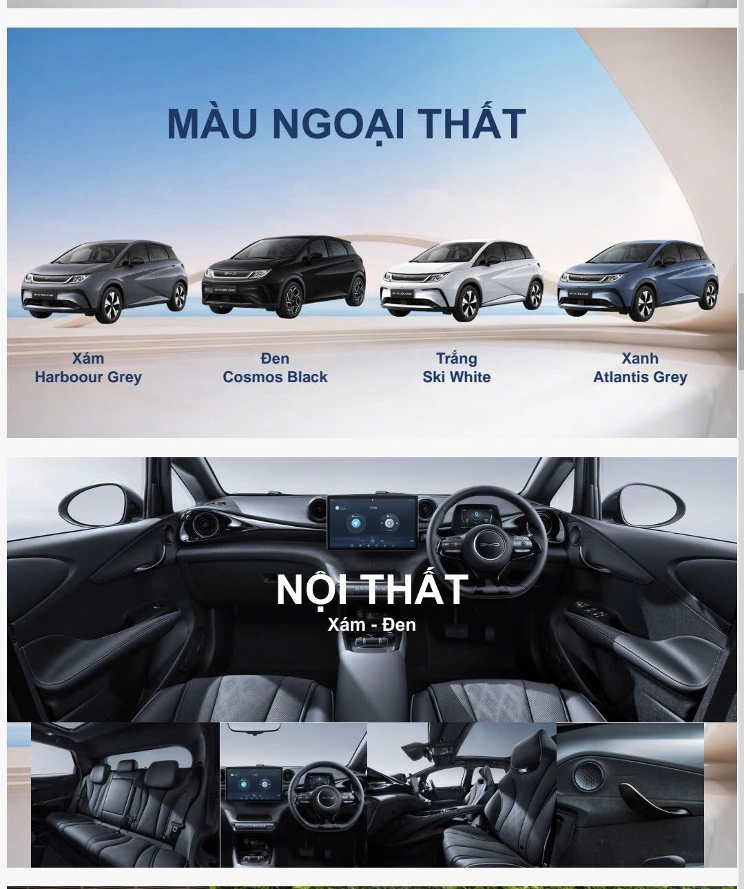 bang-mau-byd-dolphin-2026