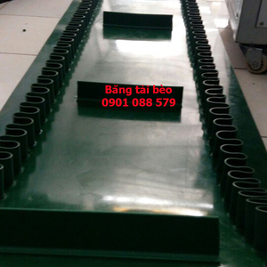 Băng tải dán gờ bèo - băng tải bèo - băng tải thực phẩm