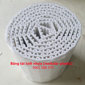 Băng tải modular plastic (HS100A)
