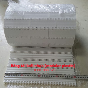 Băng tải modular plastic (HS100A)