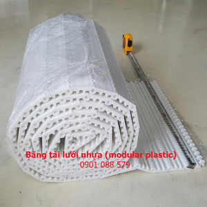 Băng tải modular plastic (HS100A)