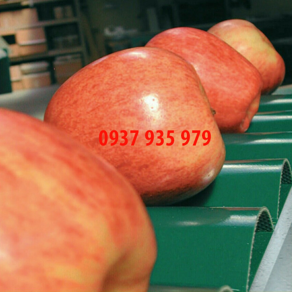 Băng tải PVC xanh gia công tạo sóng