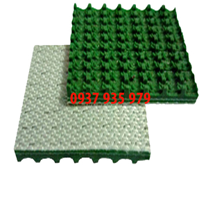 Băng tải PVC xanh gai 5mm-2bố (nhám thùng)