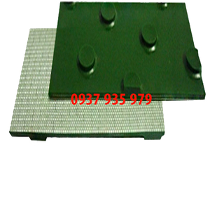 Băng tải PVC xanh hạt tròn dày 5.5mm - 2 lớp bố