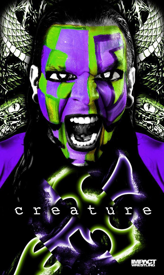 BANNER JEFF HARDY (1m × 1.5m)