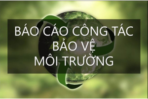 BÁO CÁO CÔNG TÁC BẢO VỆ MÔI TRƯỜNG THEO LUẬT BẢO VỆ MÔI TRƯỜNG 2020