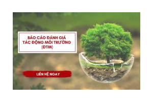 Báo cáo đánh giá tác động môi trường (ĐTM)