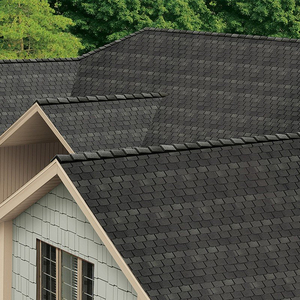 BÁO GIÁ TẤM LỢP BITUM, NGÓI LỢP BITUM - DDD GROUP