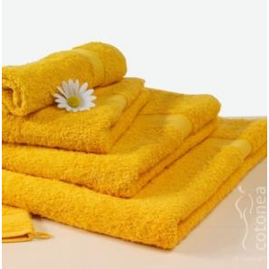 Bảo quản khăn bông cellulose