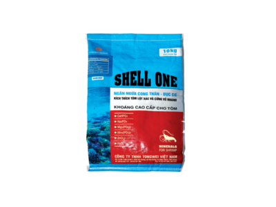 SHELL ONE