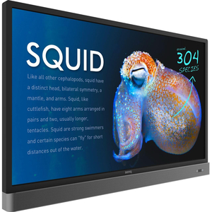 Màn hình tương tác BenQ 55 RP553K