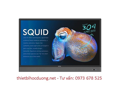 Màn hình tương tác BenQ 55 RP553K