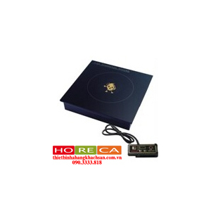 BẾP TỪ YB-X300