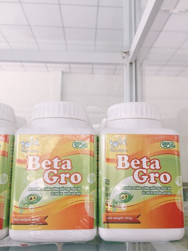 BETA GRO