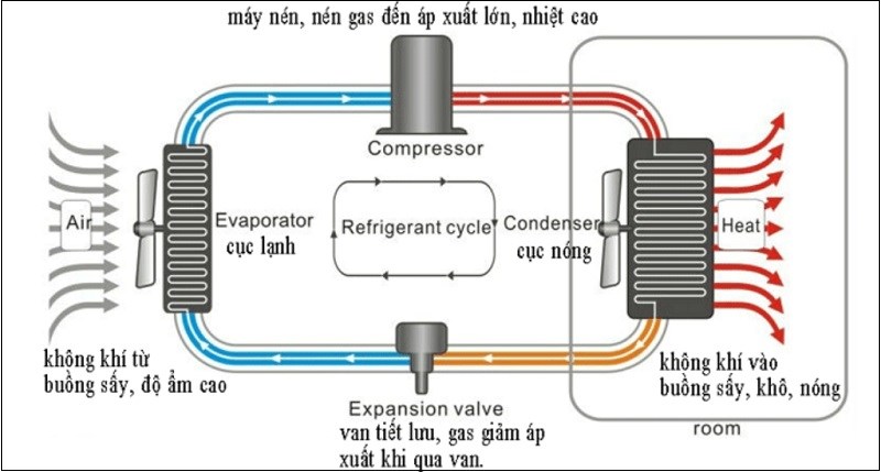 Bí Quyết Bảo Quản Thực Phẩm Không Mất Chất: Công Nghệ Sấy Lạnh!