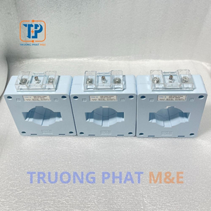 Biến Dòng Vuông MSQ-1000/5A