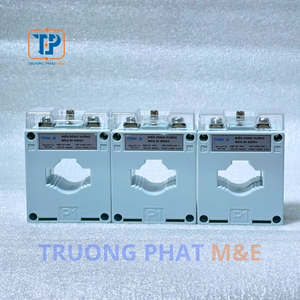 Biến Dòng Vuông MSQ-300/5A
