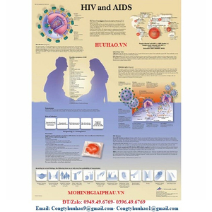 BIỂU ĐỒ GIẢI PHẪU BỆNH HIV VÀ AIDS